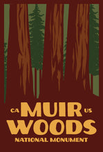 Load image into Gallery viewer, Muir Woods Postcard