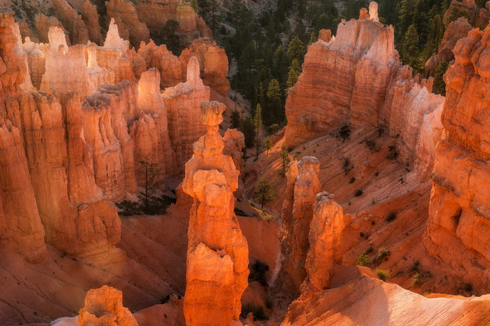 Guide To Bryce Canyon