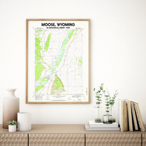 Moose Wyoming 1969 USGS Topographical Map Poster