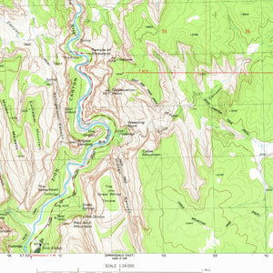 Zion National Park Utah Poster | Vintage 1980 USGS Map | Zion Lodge | Temple of Sinawava
