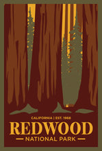 Load image into Gallery viewer, Redwood National Park Postcard