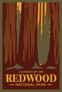 Redwood National Park Postcard