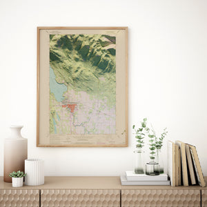 Whitefish Montana  Map Poster - Shaded Relief Topographical Map